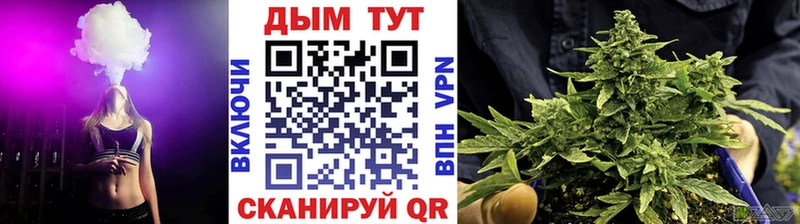 Бошки марихуана Amnesia  Тында 